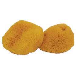 FH_sp_pre__23466.1347039067.250.250